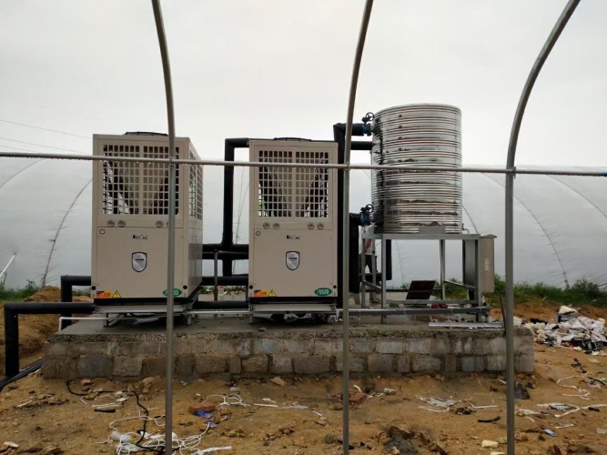 烟台香菇大棚恒温